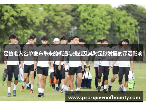 足协准入名单发布带来的机遇与挑战及其对足球发展的深远影响