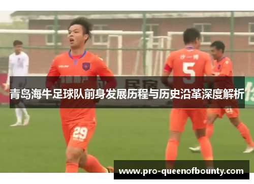 青岛海牛足球队前身发展历程与历史沿革深度解析