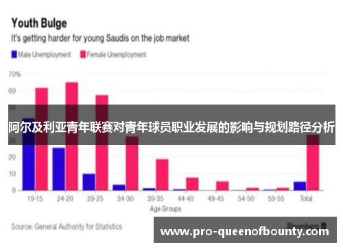 阿尔及利亚青年联赛对青年球员职业发展的影响与规划路径分析
